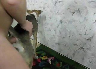 Busco quien me ayude a iniciarme el la zoofilia con una perra ...